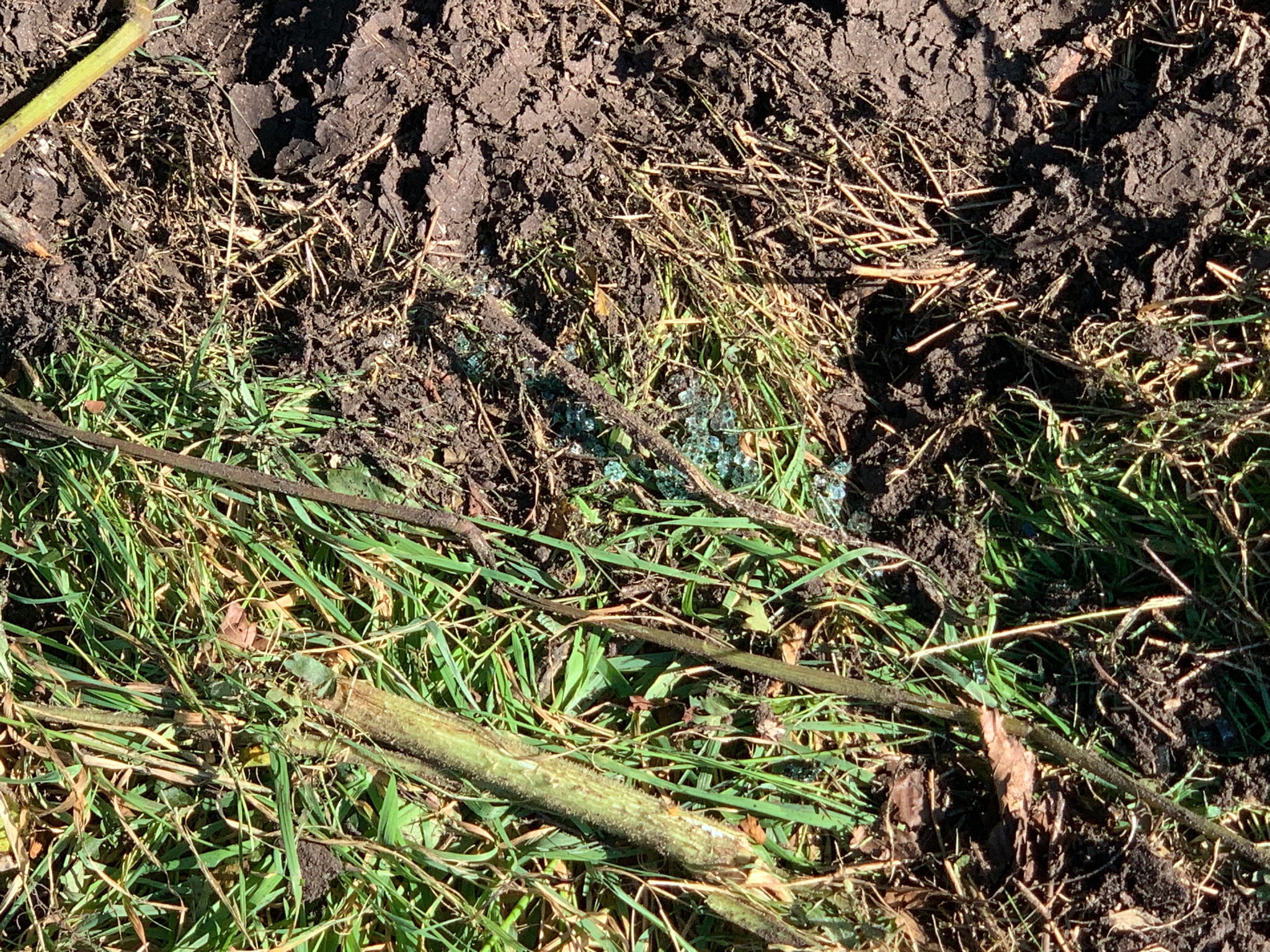 DEBRIS: Smashed glass left on the crash site