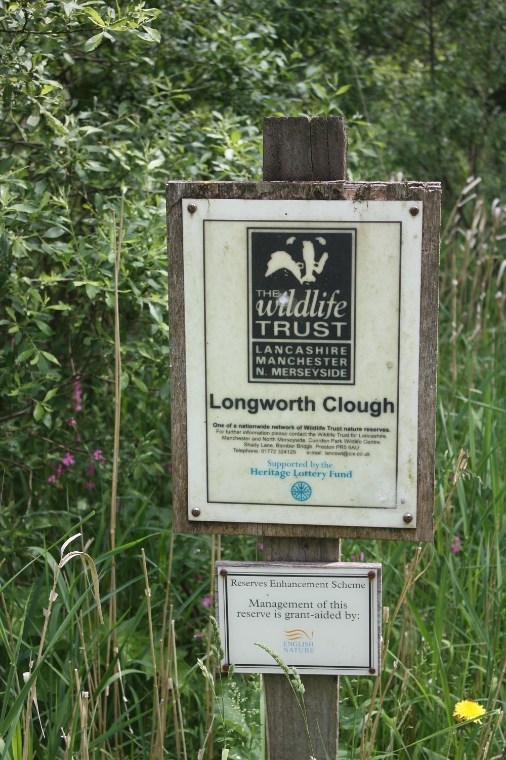 Longworth Clough