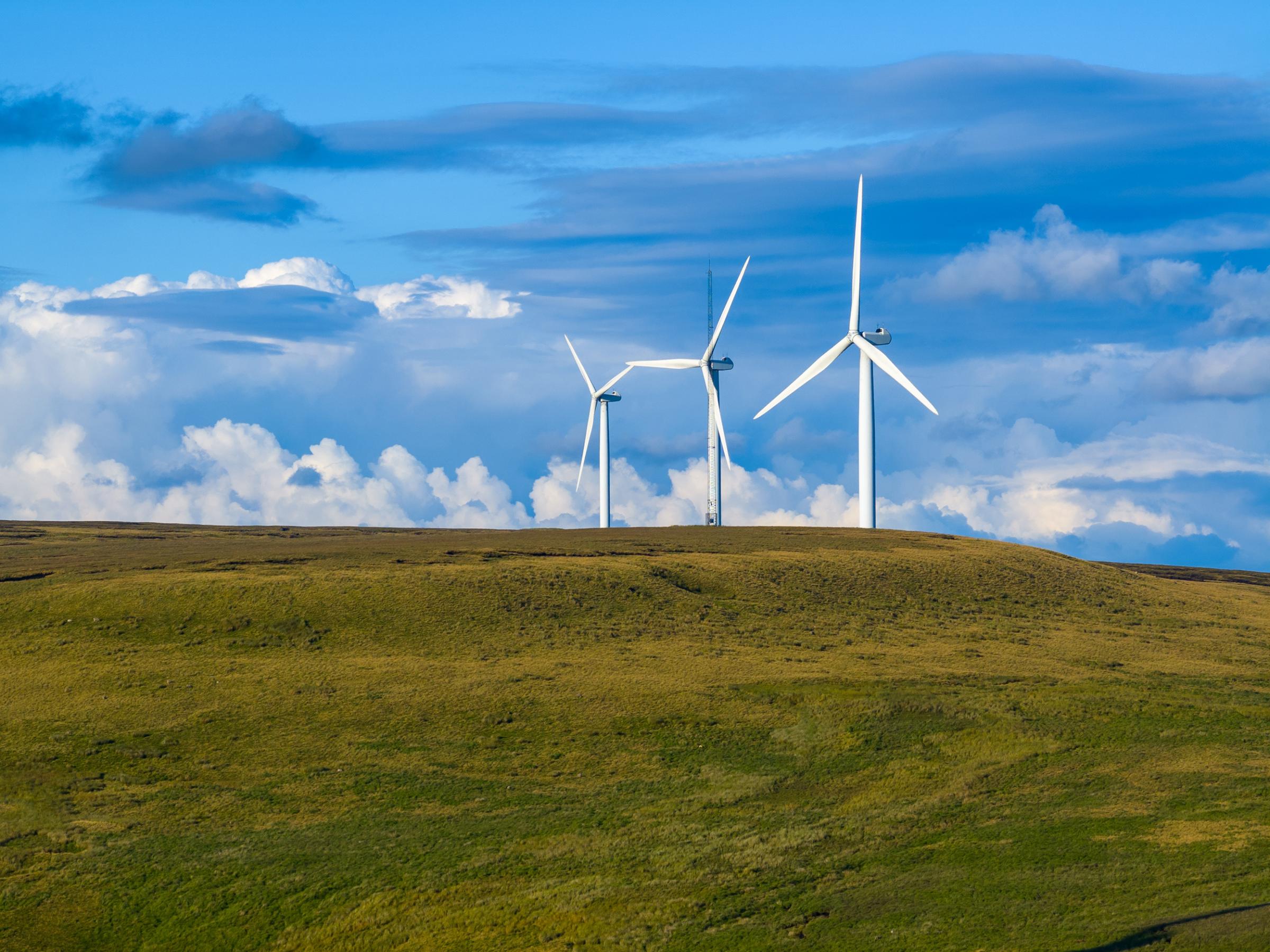 Scout Moor wind farm near Rochdale (Picture: Cubico Sustainable Investments)